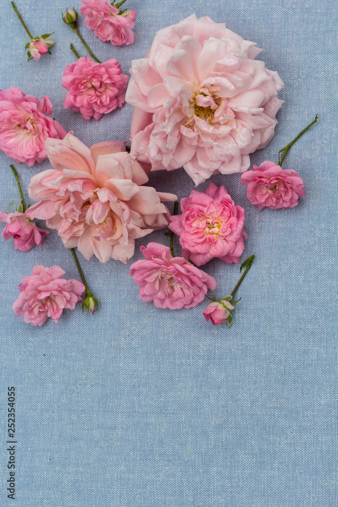Beautiful, romantic rosy background Beautiful, romantic rosy background