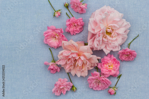 Beautiful, romantic rosy background
