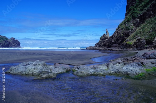 美しいニュージーランドの夏の海岸