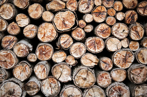 stacked wood logs background