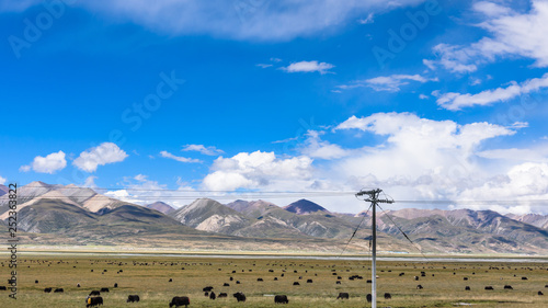 View of grass filed on east side of the  Nyenchen Tanglha Mountains range in Damxung(Dangxiaong) County, Lhasa, Tibet, China. photo