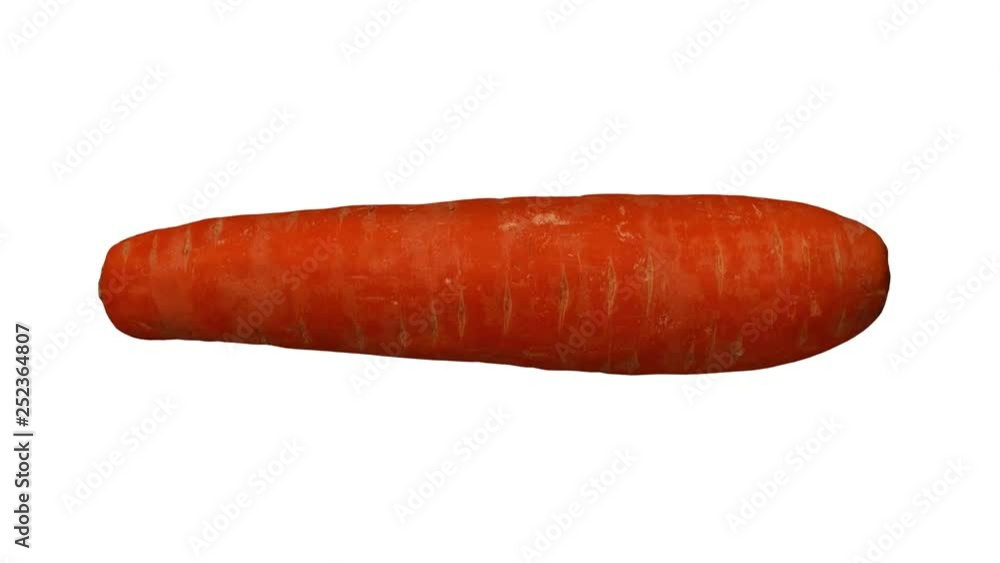 Realistic render of a rotating carrot on white background. The video is seamlessly looping, and the object is 3D scanned from a real carrot. Realistic render of a rotating carrot on white background. The video is seamlessly looping, and the object is 3D scanned from a real carrot.