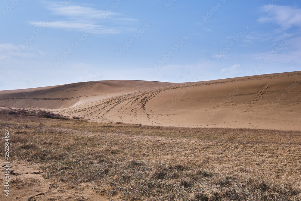 A grassland outside of Tottori sand dunes 