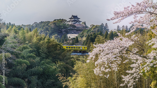  	春の大多喜城の風景