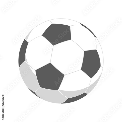 Classic soccer ball on white background