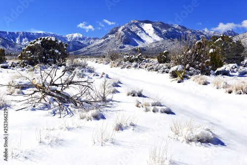 Photography Snow covered alpine terrain in the Mount Charleston region, popular hiking and c