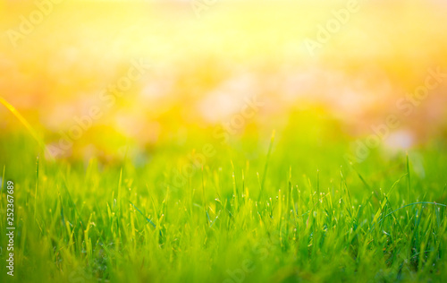 Fototapeta Naklejka Na Ścianę i Meble -  Beautiful grass summer natural landscape with natural light sunset of the sun with dramatic yellow and orange sky. Outdoor travel on wild nature. Relax zone with fresh air and water.