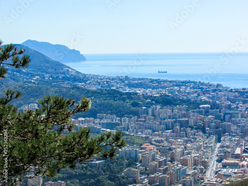 aerial view to genoa, italy with mediterranean sea and pine tree branch