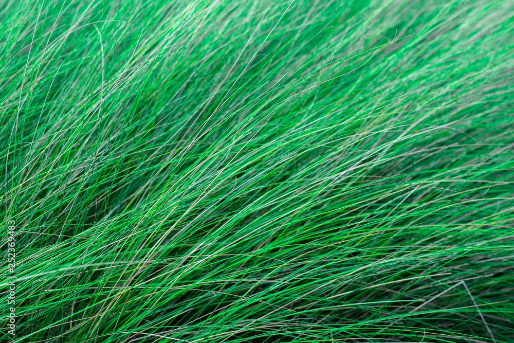 abstract green background abstract green background