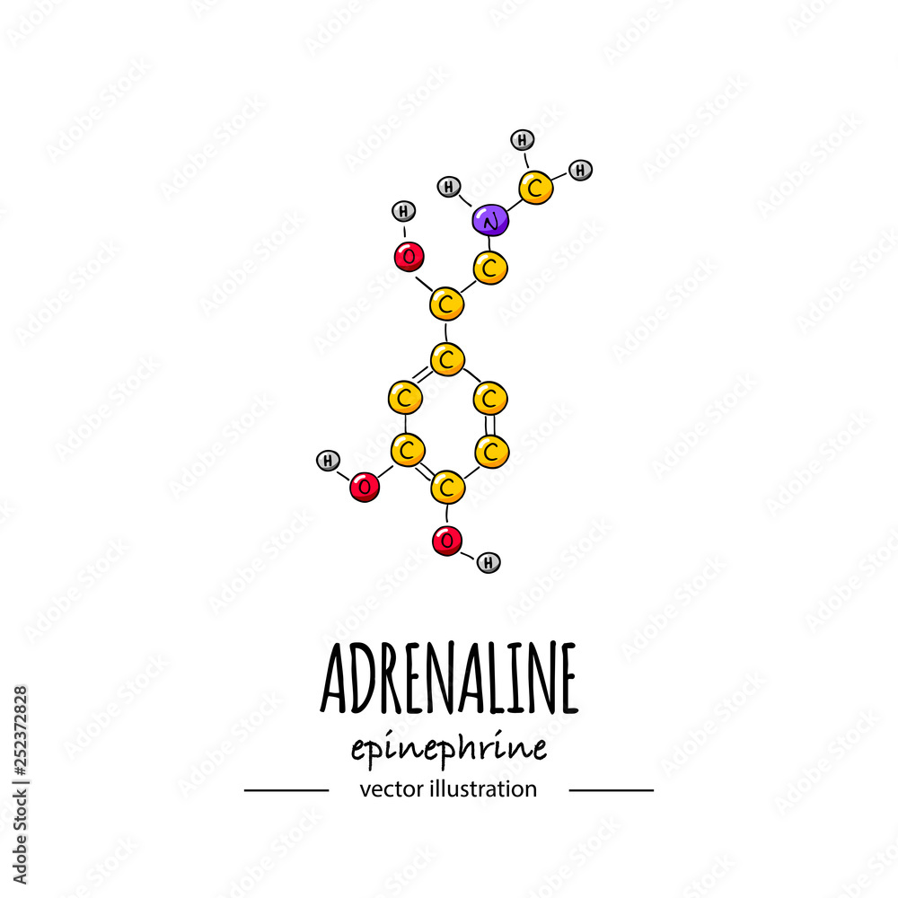 Hand drawn doodle Adrenaline chemical formula icon Vector illustration Cartoon molecule Sketch Epinephrine symbol molecular structure Structural scientific hormone formula isolated on white background