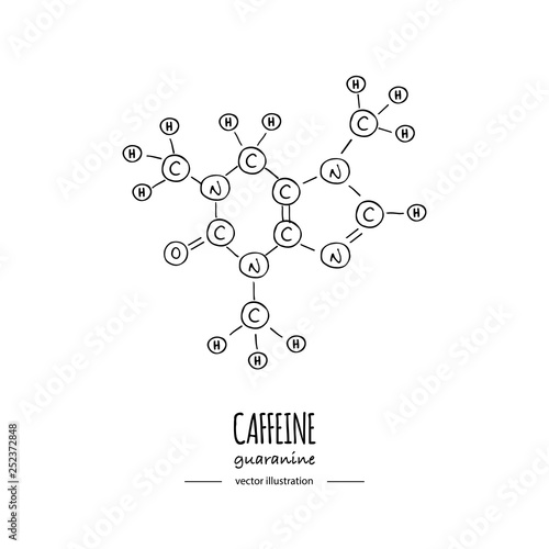 Hand drawn doodle Caffeine chemical formula icon Vector illustration Cartoon molecule Sketch Guaranine symbol molecular structure Structural scientific hormone formula isolated on white background