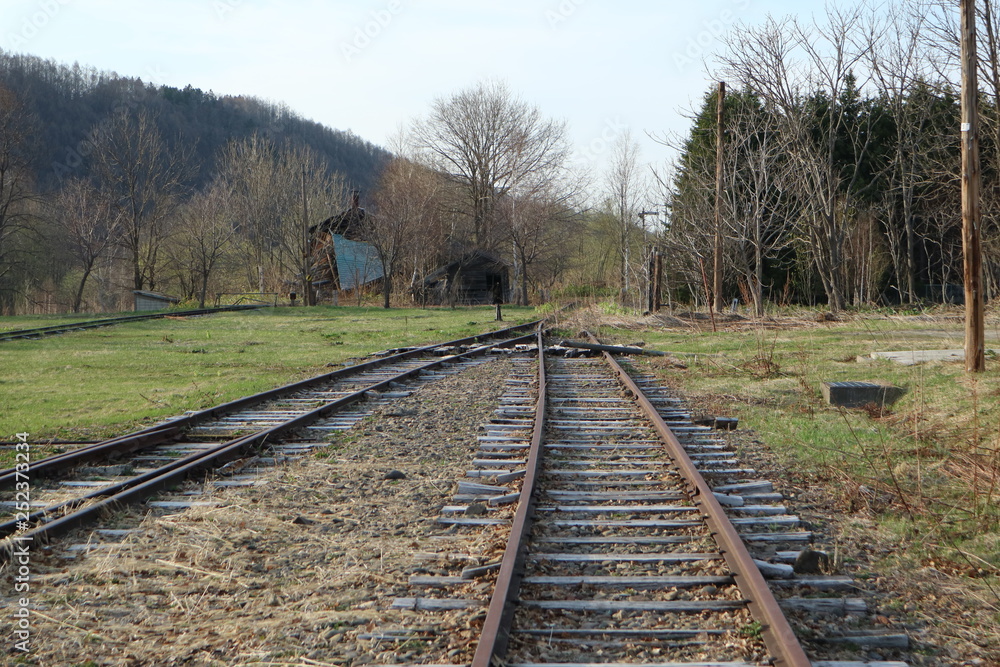 railway in forest railway in forest
