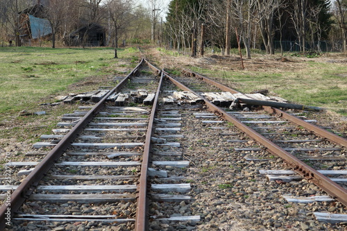 railway in forest