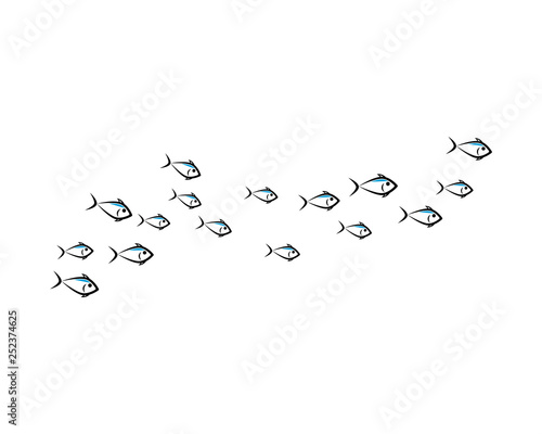 Photography set of abstract fish background template vector illustration design