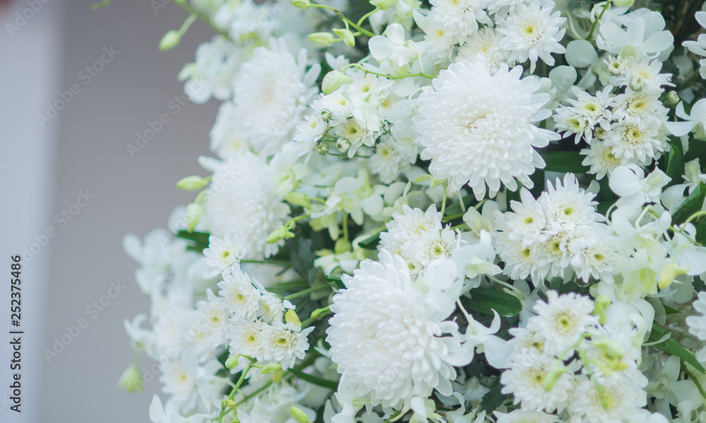 bouquet of white flowers