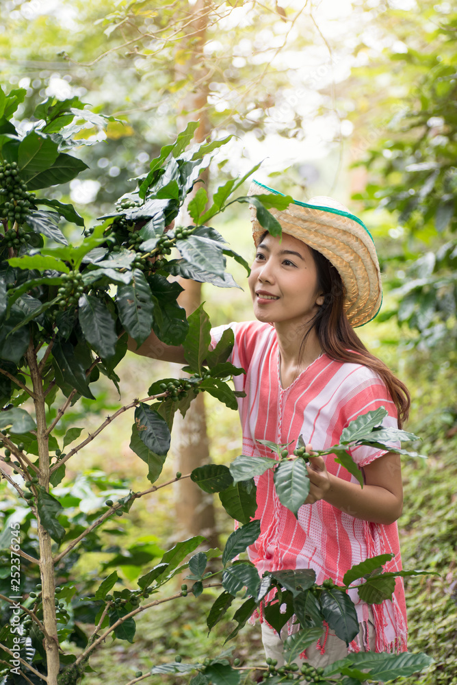 Young Asian woman working in coffee plantation Young Asian woman working in coffee plantation