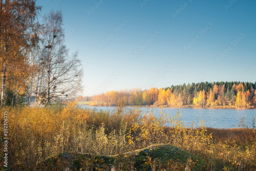 Autumn lake landscape