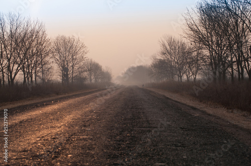 Road in fog