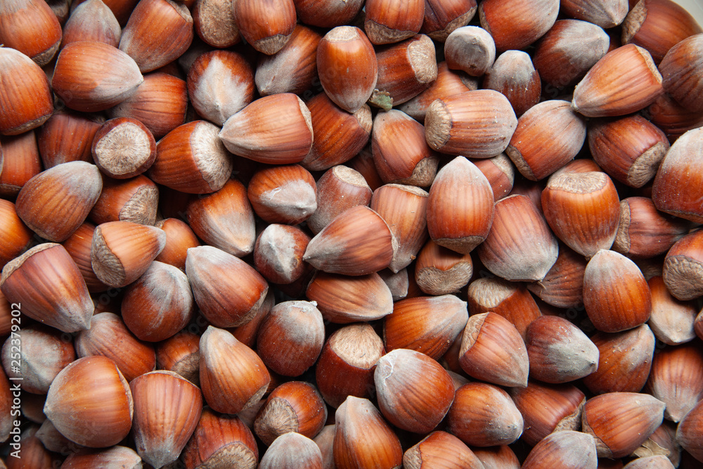 hazelnuts on wooden background hazelnuts on wooden background