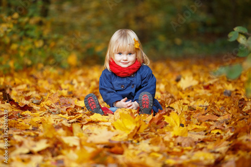 Little autumn funny girl sitting in autumn park. Selective focus  copy space.