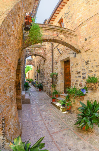 Spello (Perugia), the awesome medieval town in Umbria region, central Italy, during the floral competition after the famous Spello's intfiorate. © ValerioMei
