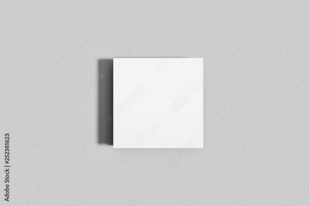 Accordion Fold Brochure, ten page leaflet, concertina fold. Blank white