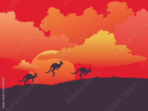 Landscape with kangaroo