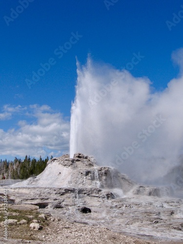 Castle Geyser erupting in Yellowstone National Park on a beautiful blue sky day.