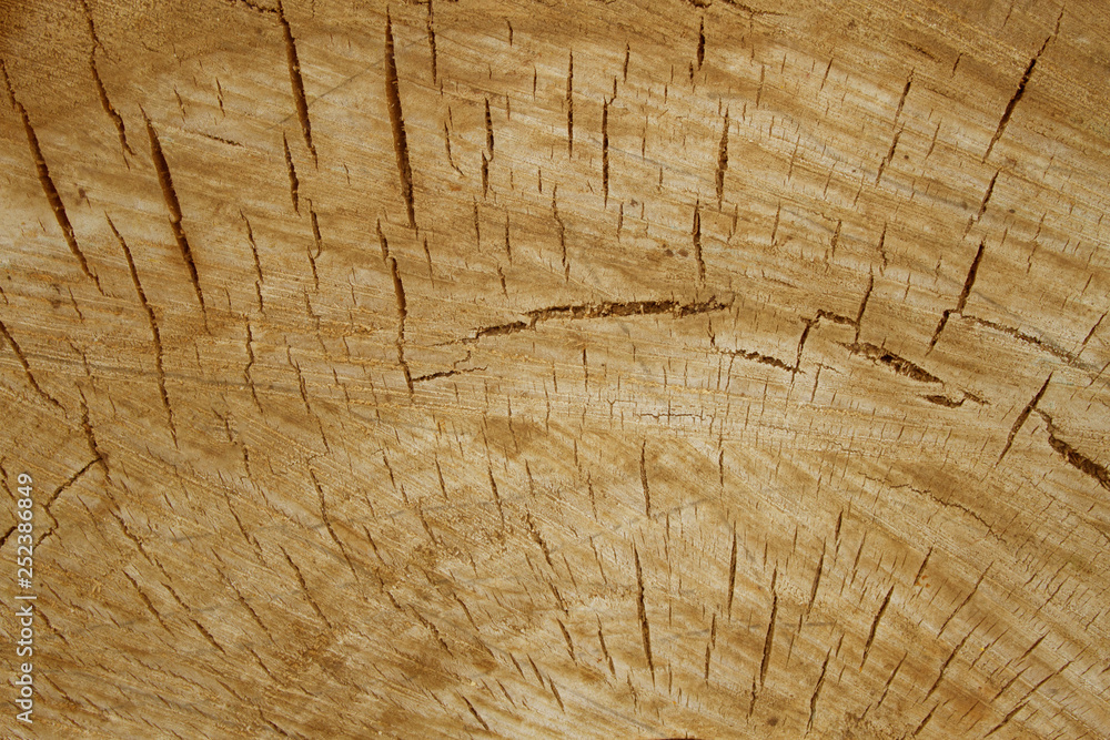 Naklejka premium Brown wood texture