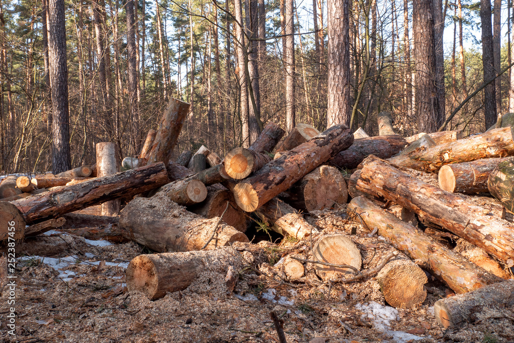 Stacked firewood in a pile outdoors close-up. A pile of chopped firewood ready for stacking. Preparation heating house in winter. Stacked firewood in a pile outdoors close-up. A pile of chopped firewood ready for stacking. Preparation heating house in winter.