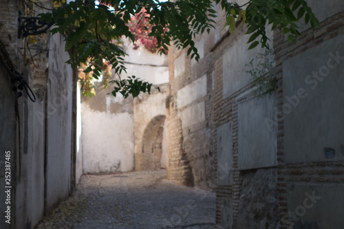 Fototapeta Naklejka Na Ścianę i Meble -  Street of the Albaicin neighborhood in Granada. Spain