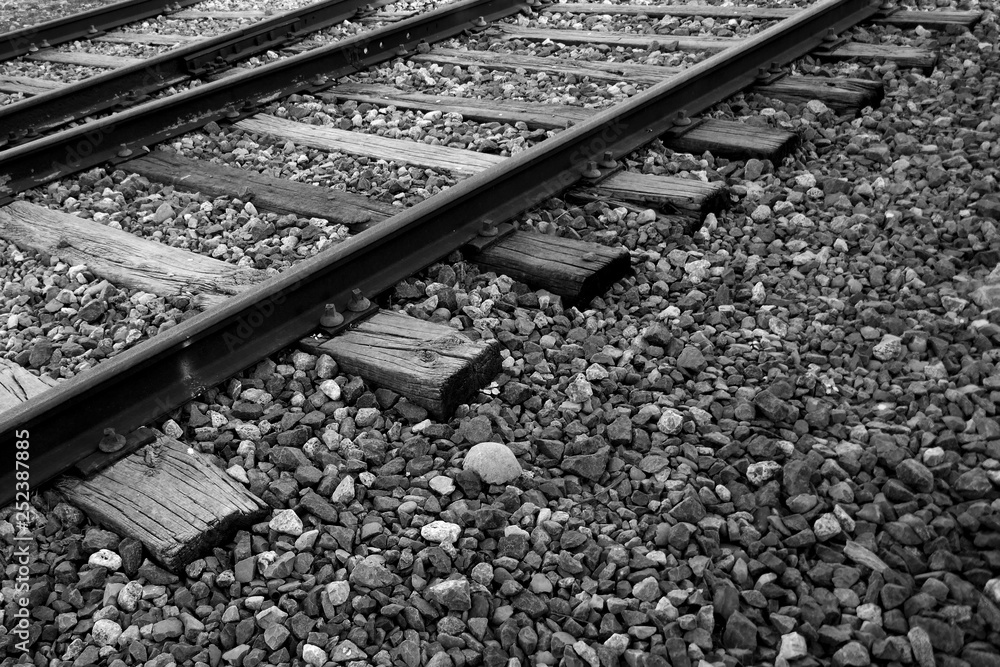 Naklejka premium tren