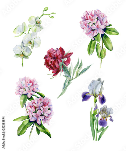 Fototapeta Naklejka Na Ścianę i Meble -  Tropical rhododendron flowers and iris flower. Interior watercolor set with pink azalea and white orchids. Exotic plants print. Pink peony watercolor illustration isolated on white background.