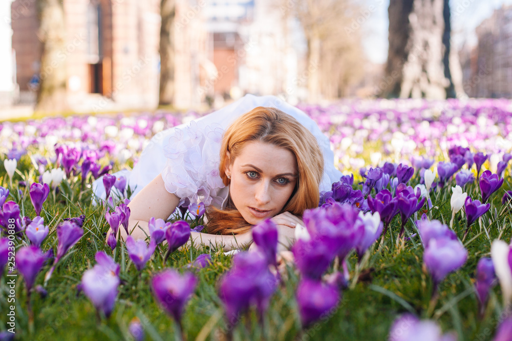 Beautiful young blonde woman with blue eyes wearing in white dress lying on the carpet among the spring flowers crocuses. Spring sunny day. A field of purple flowers. Springtime saffron field Beautiful young blonde woman with blue eyes wearing in white dress lying on the carpet among the spring flowers crocuses. Spring sunny day. A field of purple flowers. Springtime saffron field
