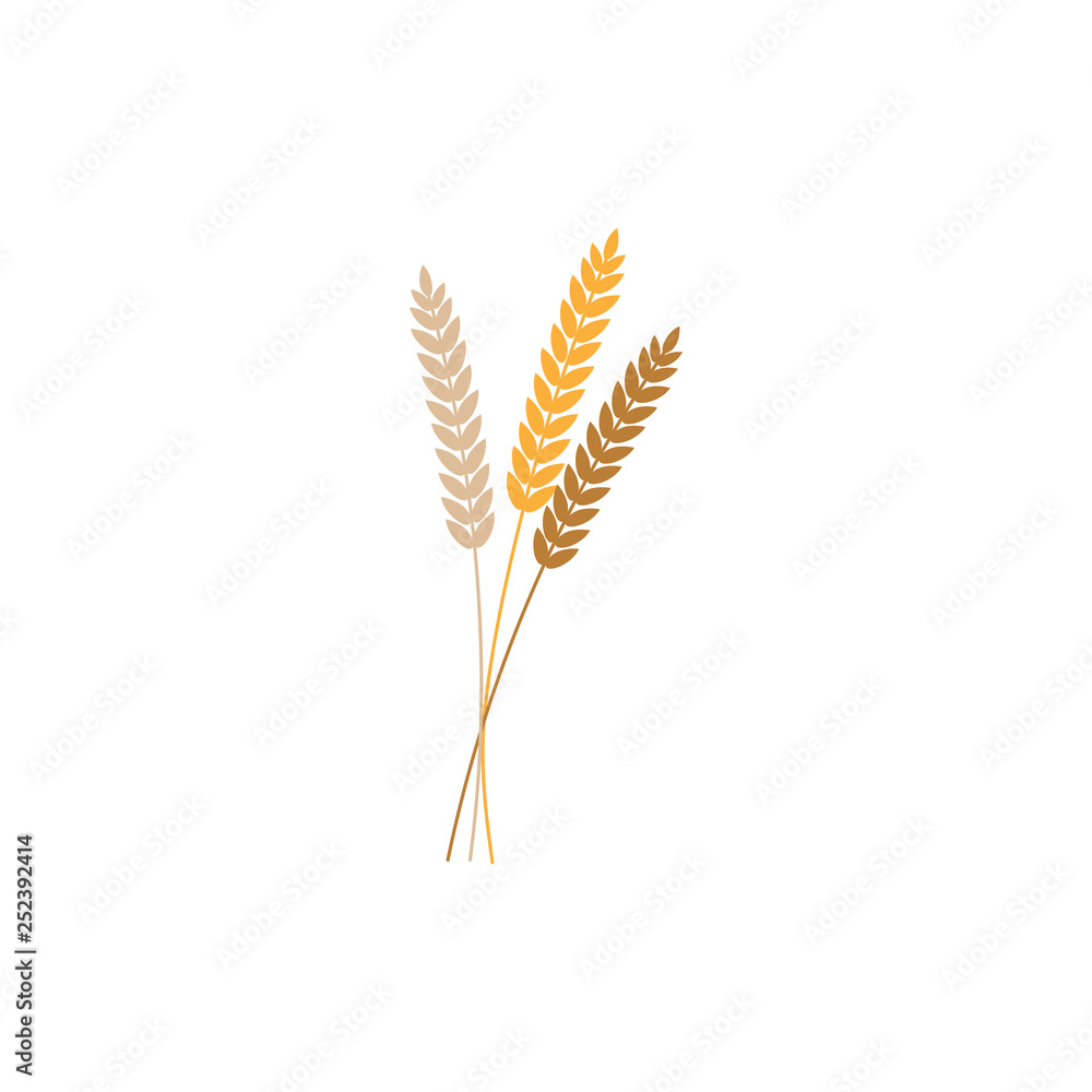 vector illustration of wheat, rye or barley ears whole grain, black silhouette symbol icon isolated on white background. vector illustration of wheat, rye or barley ears whole grain, black silhouette symbol icon isolated on white background.
