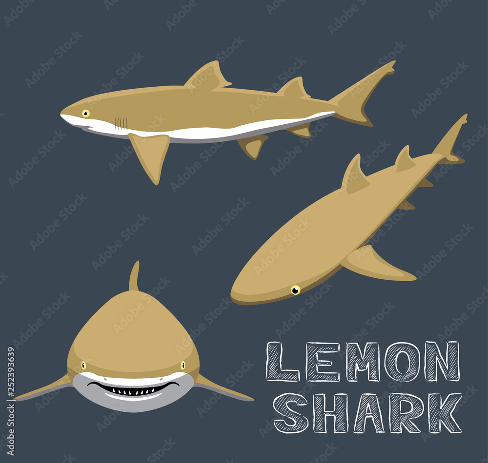 Lemon Shark Cartoon Vector Illustration Stock Vector | Adobe Stock