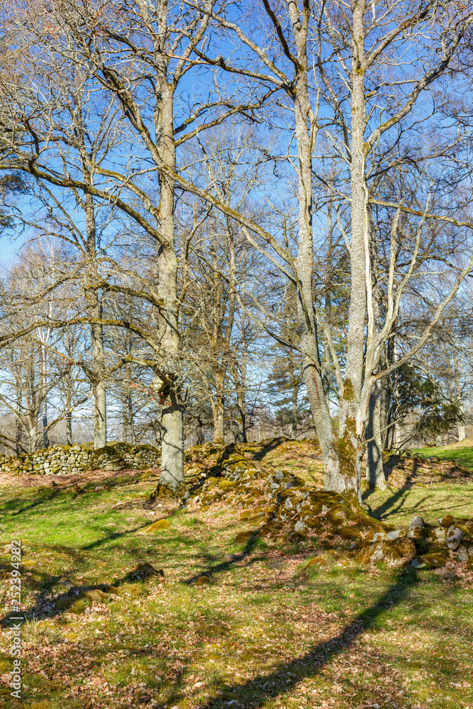 Cultural landscape view in a beautiful spring landscape with stone walls Cultural landscape view in a beautiful spring landscape with stone walls