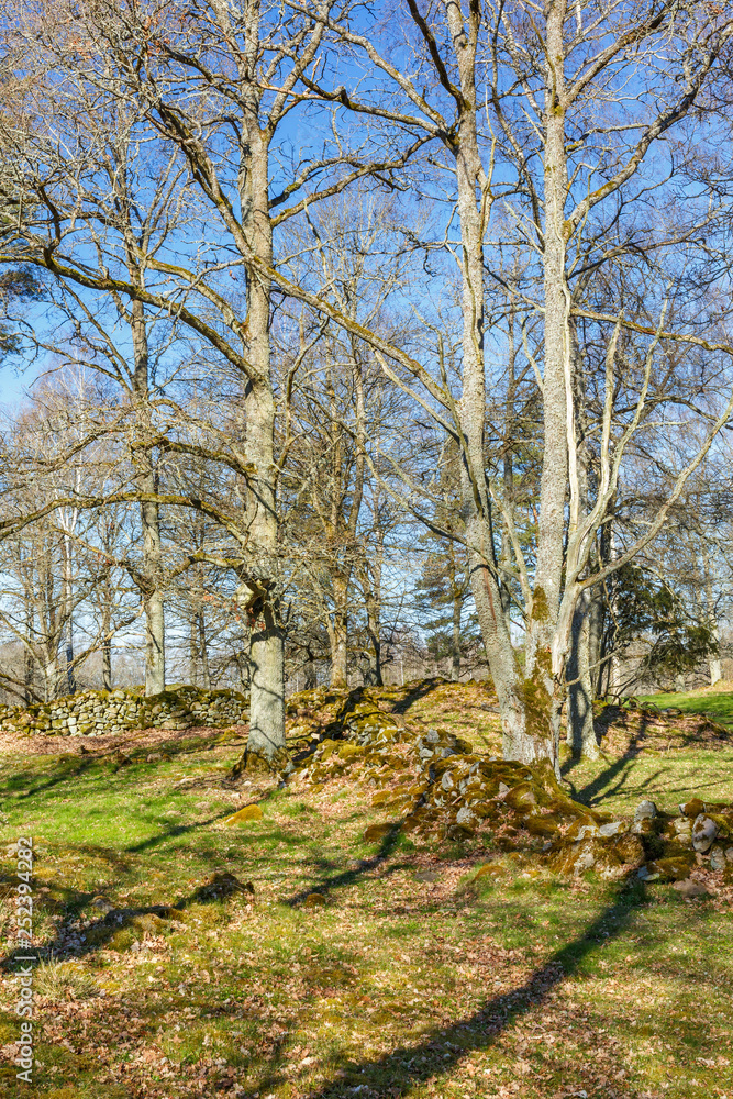 Cultural landscape view in a beautiful spring landscape with stone walls