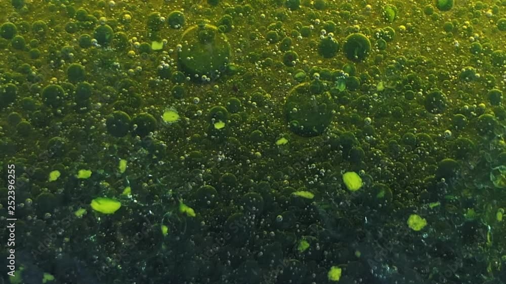 Abstract green blob and fast bubbles science background Abstract green blob and fast bubbles science background