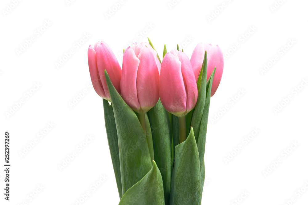 Naklejka premium Bukiet różowych tulipanów