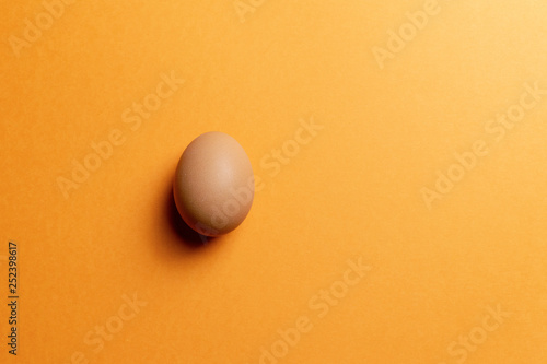 beige chicken egg on orange background