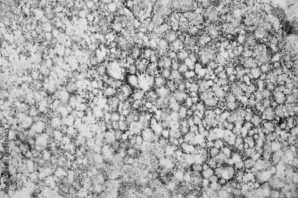 mold texture mold texture