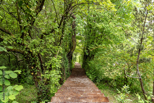 Treppe steil eng Wald