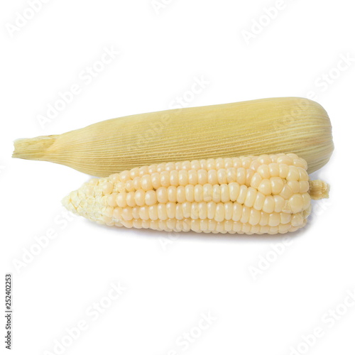 Boiled waxy corn isolated on a white background.