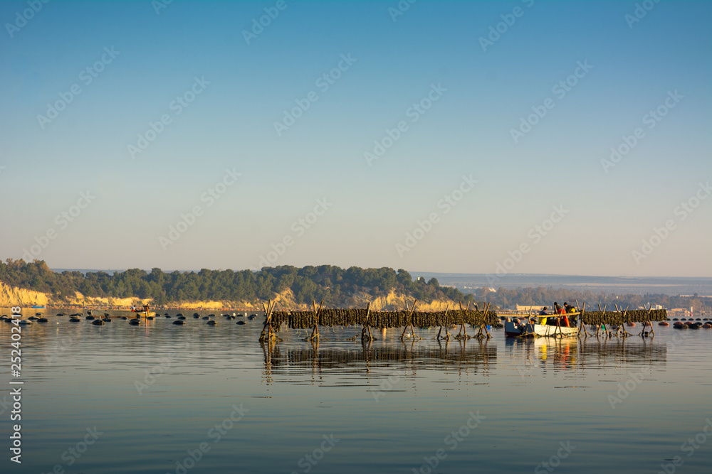 Mussel Plantation in the Mar Piccolo in Taranto in the South of Italy at Sunrise