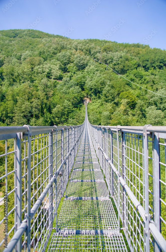 suspension bridge over the valley and the wooded mountains