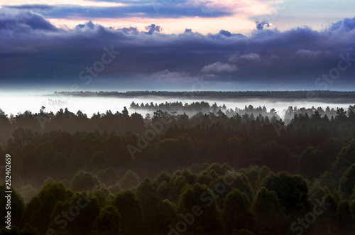 Dramatic Morning Twilight Sky and Misty Forest Landscape at Altai Mountains, Kazakhstan. Fantasyland, Blue Hour Concept.
