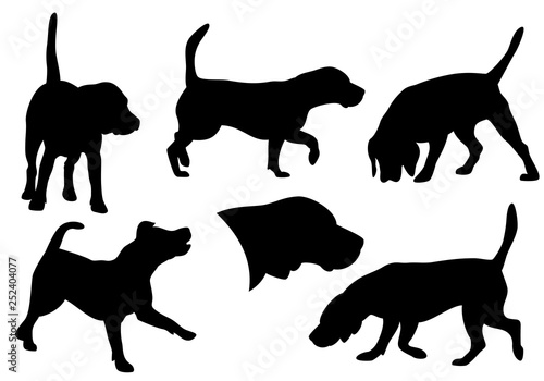 beagle dog running  standing and hunting - set of black and white vector canine silhouettes