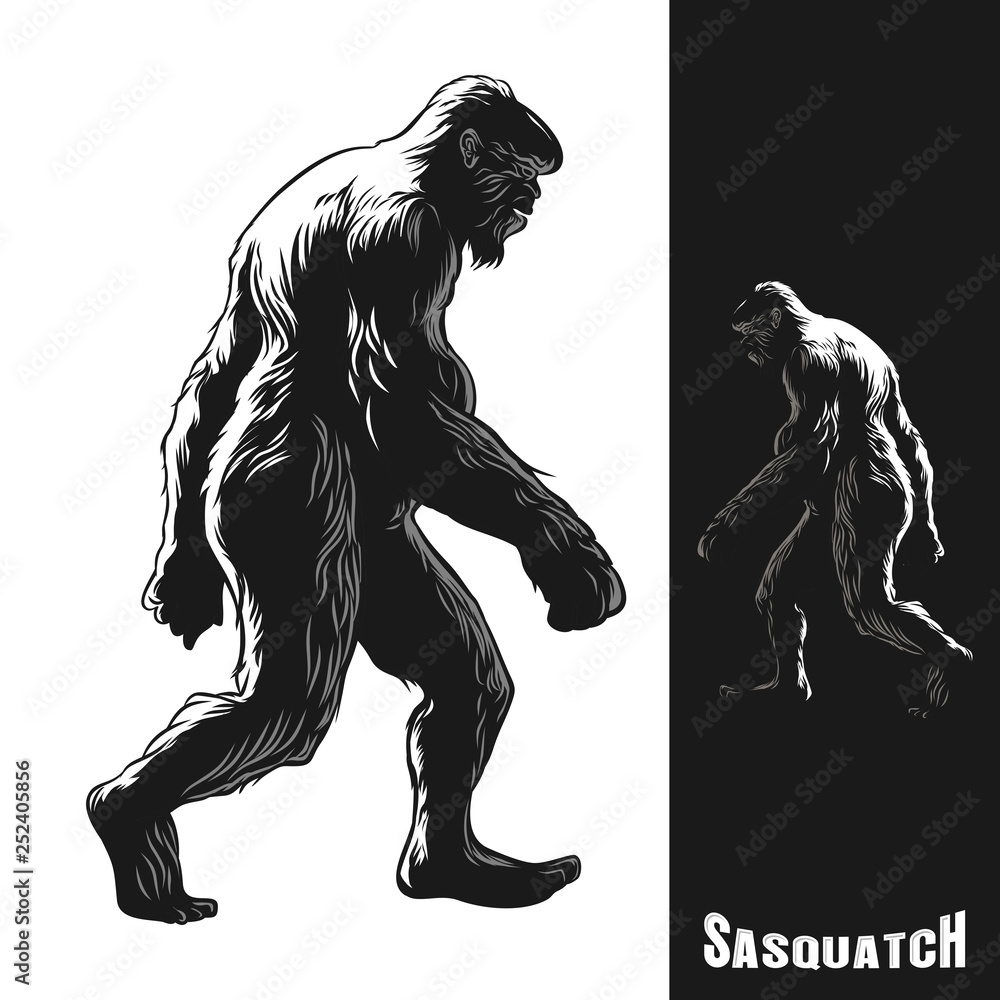Obraz premium Sasquatch monkey gorilla walking