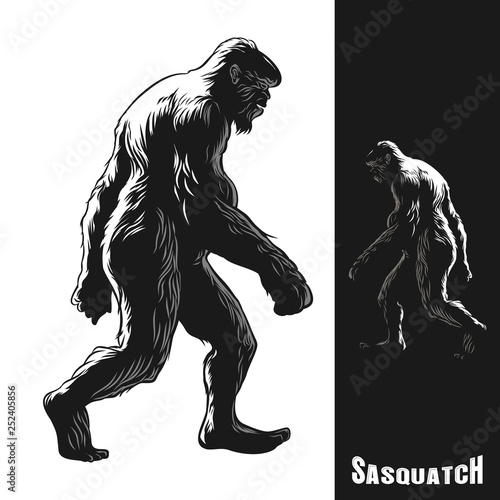 Sasquatch monkey gorilla walking photo